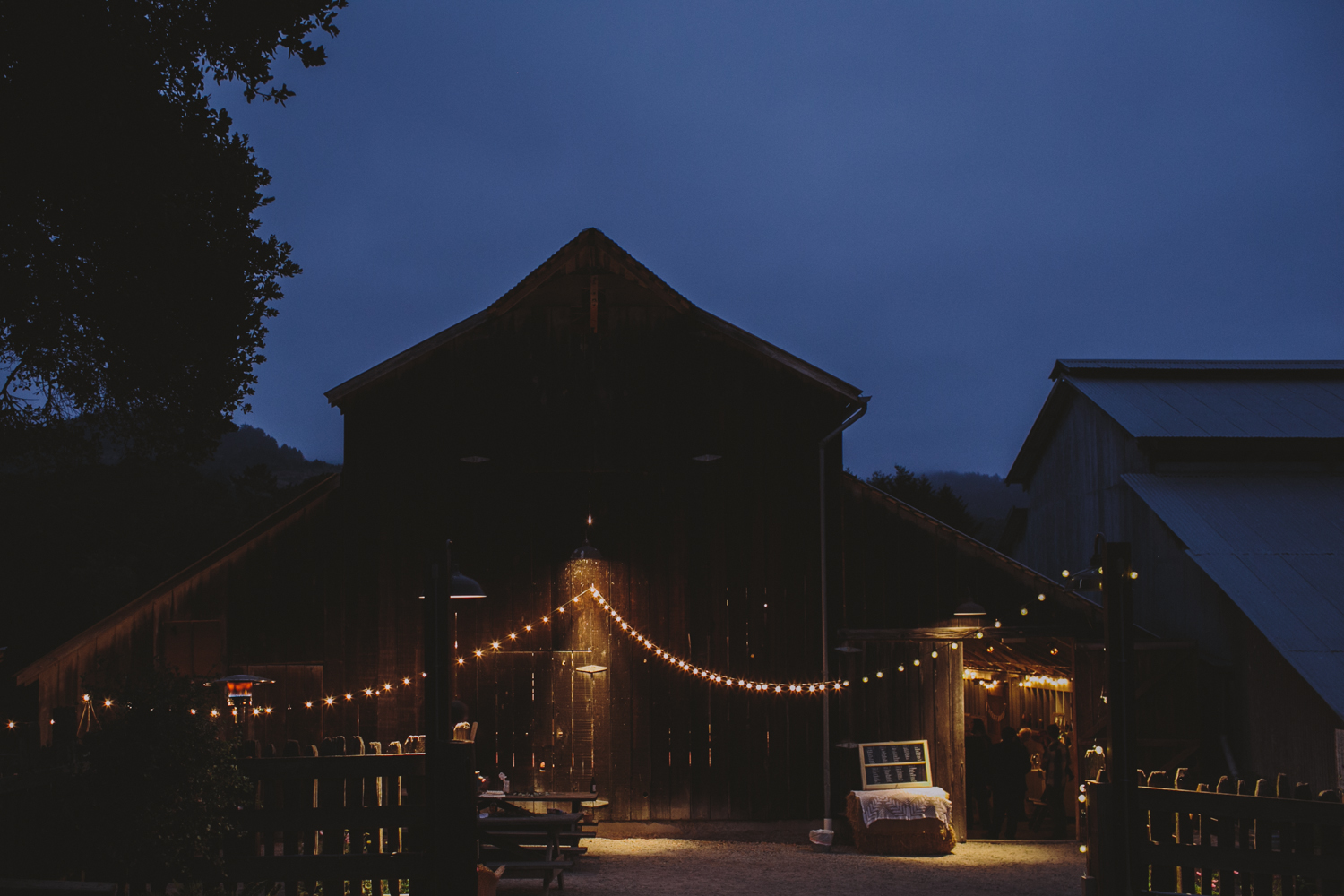 Bolinas West Marin Wedding Rachelle Derouin Photographer-98.jpg