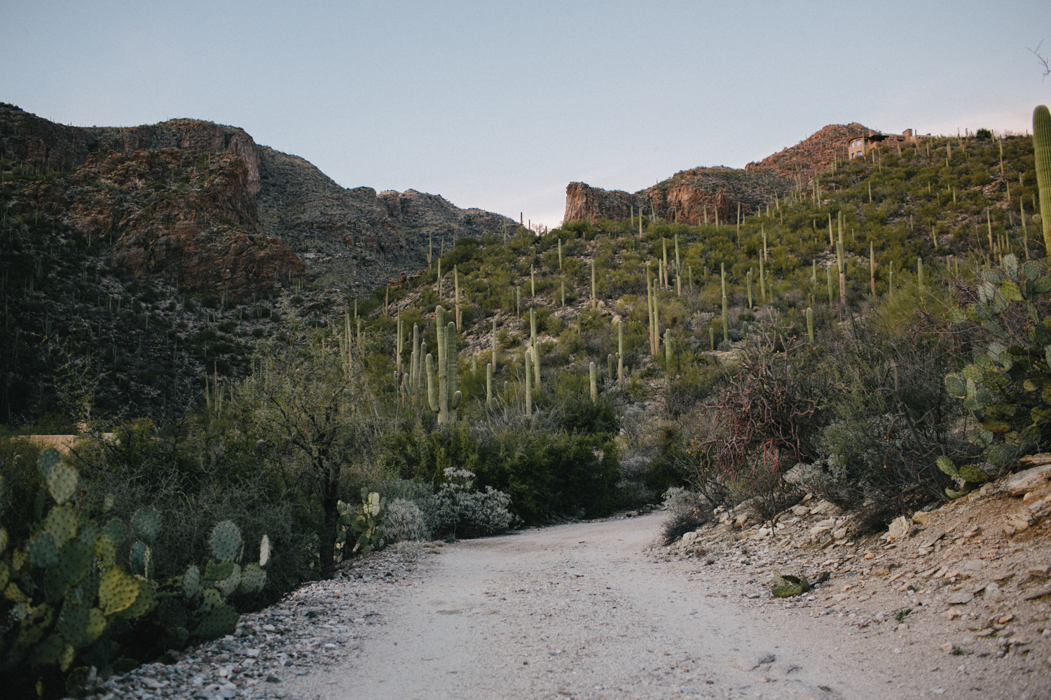 Tucson Arizona Wedding Rachelle Derouin Photographer-78.jpg