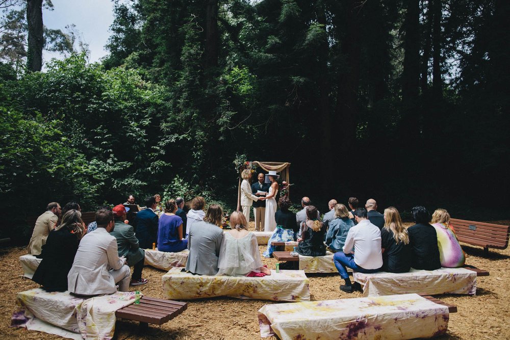 wedding ceremony at the san francisco botanical garden's redwood grove