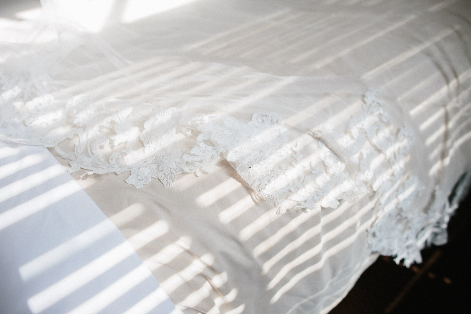 Bridal veil in window light