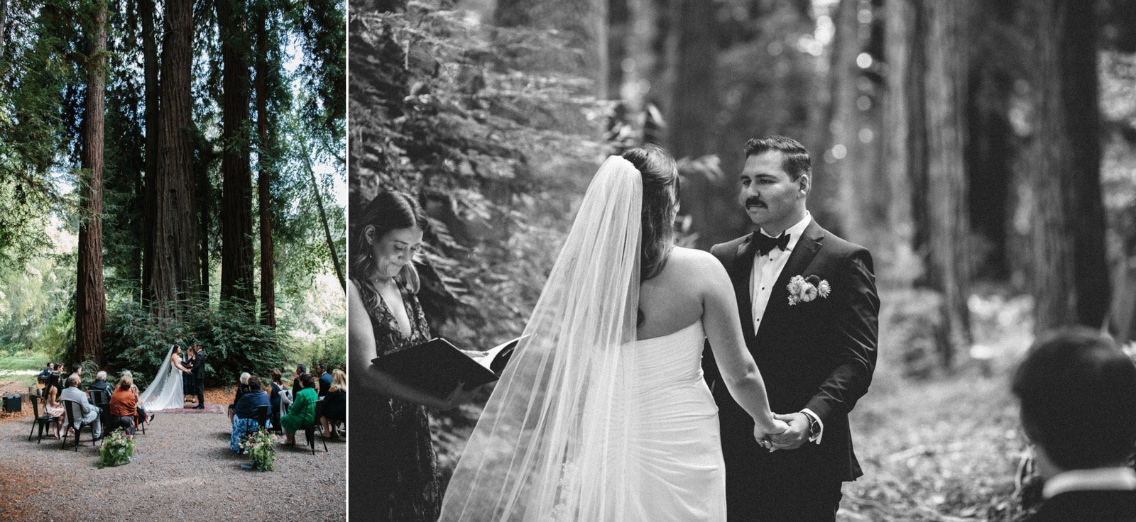 The-Madrones-Brambles-Mendocino-Wedding-Photo-36.jpg