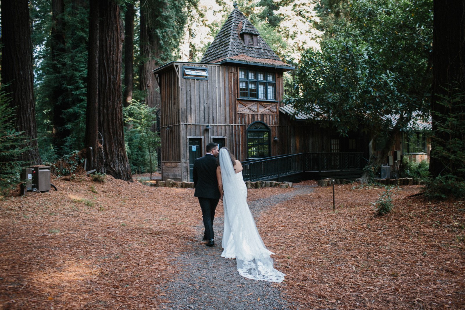Just married in the redwoods of Mendocino
