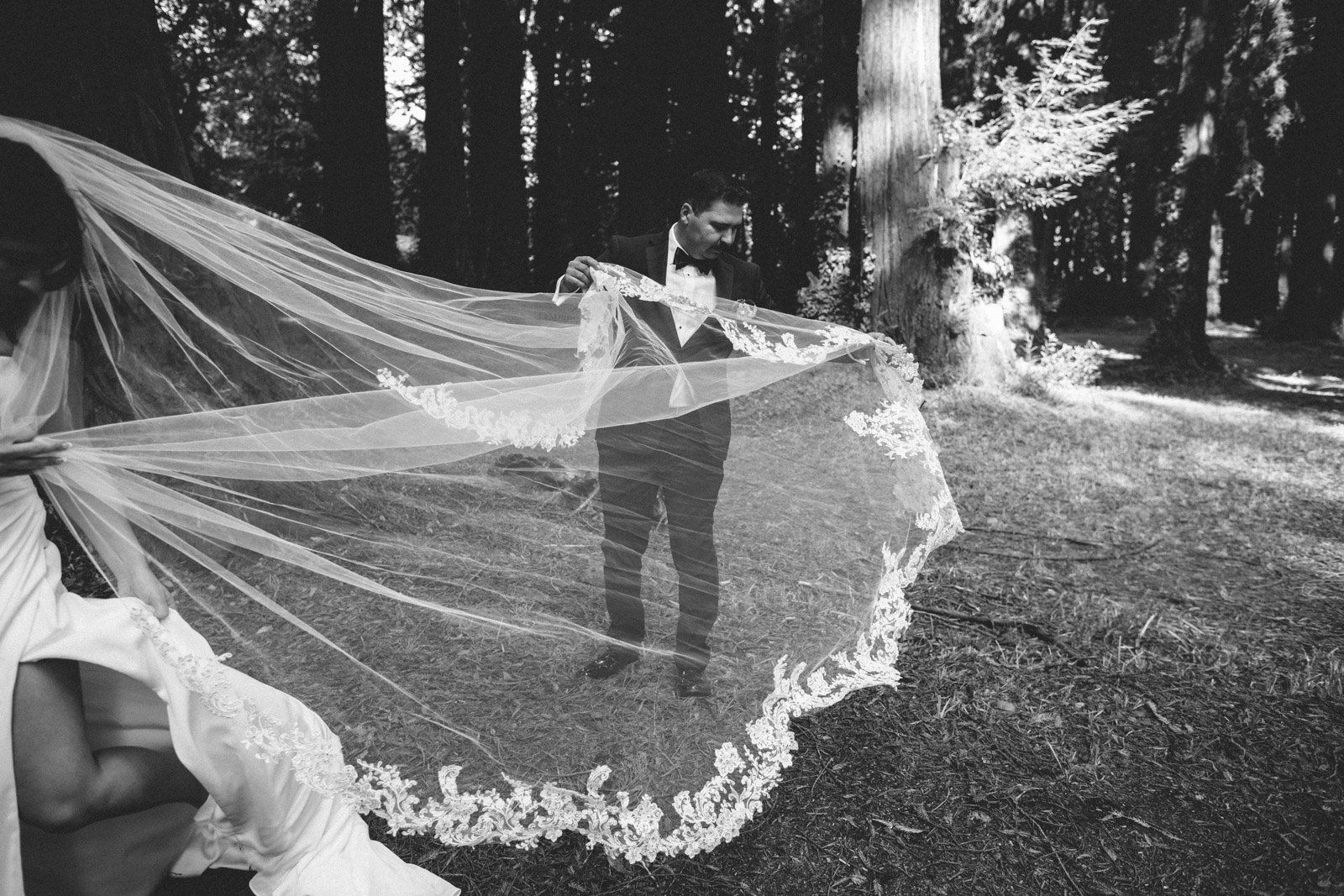 Groom holding bride's veil at The Brambles