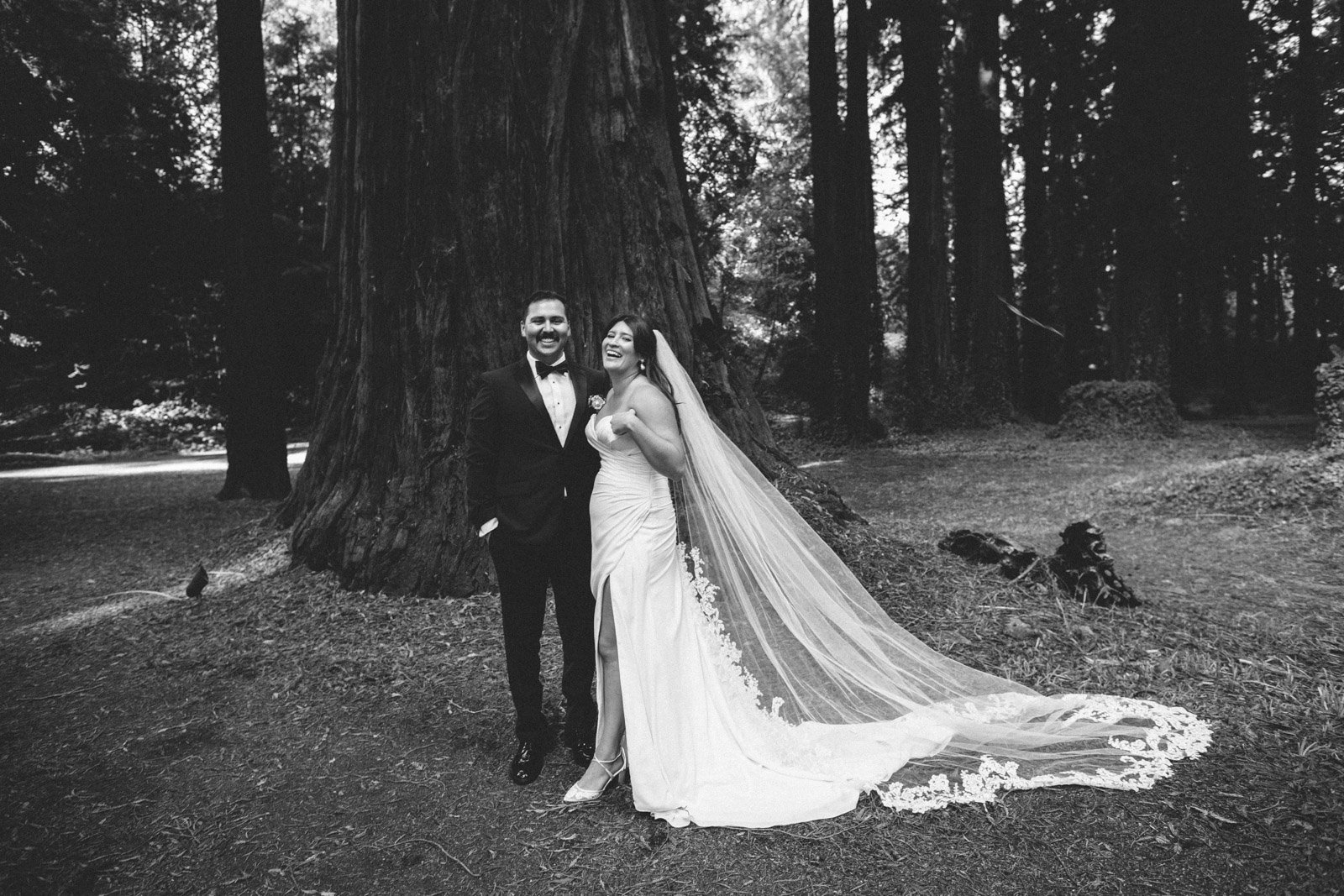 The-Madrones-Brambles-Mendocino-Wedding-Photo-54.jpg