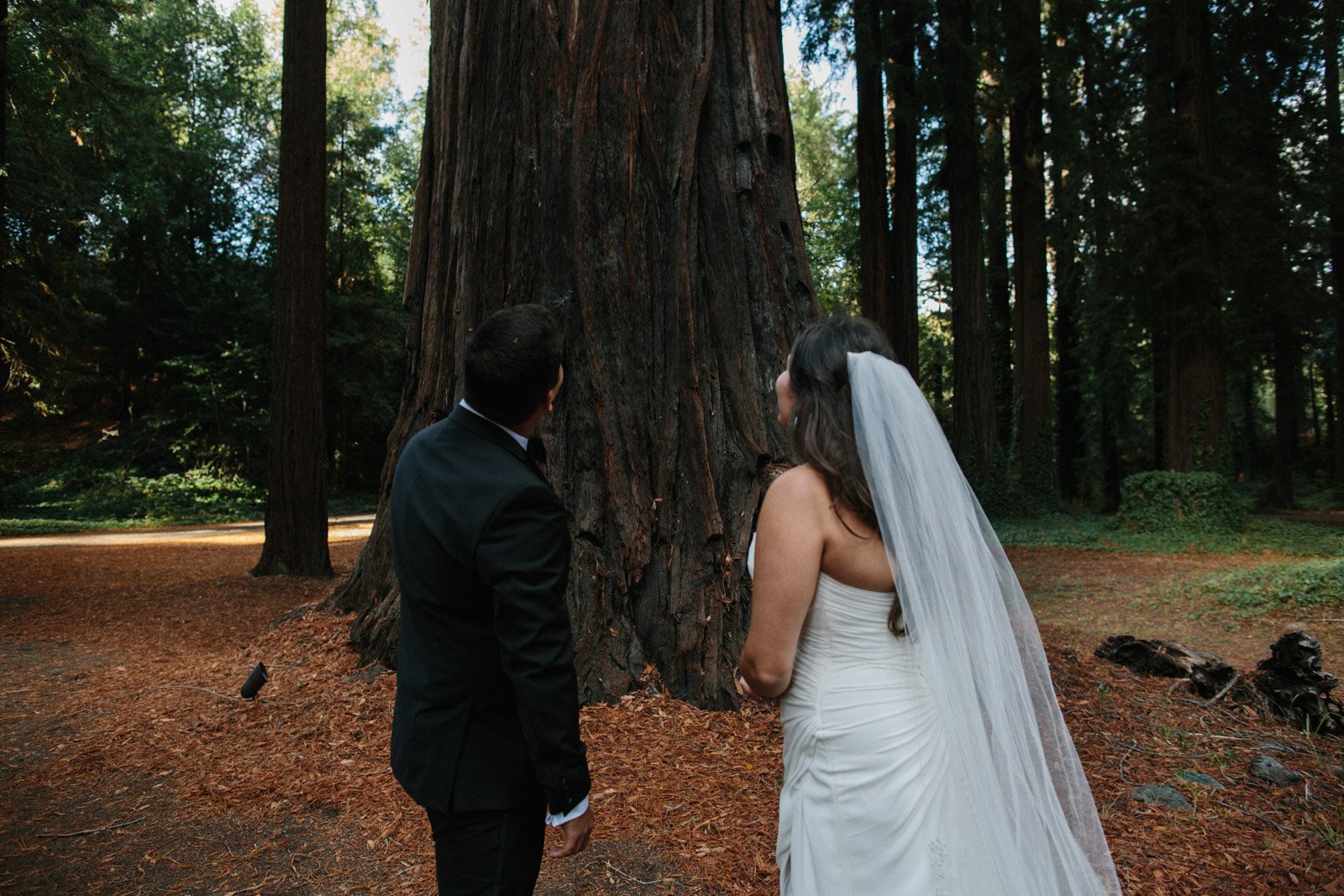 The-Madrones-Brambles-Mendocino-Wedding-Photo-55.jpg