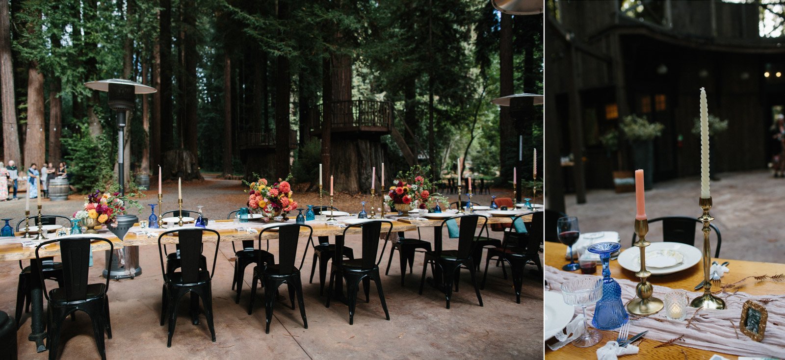 The-Madrones-Brambles-Mendocino-Wedding-Photo-67.jpg