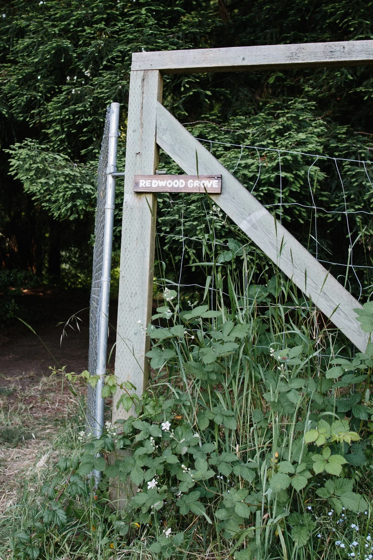 Oz-Farm-Retreat-Center-Mendocino-Wedding-231.jpg