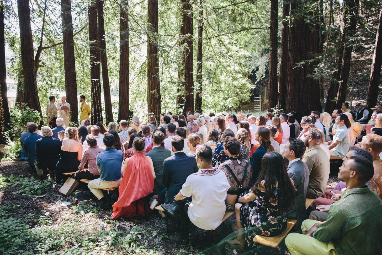 Wedding ceremony at Solar Punk Farms