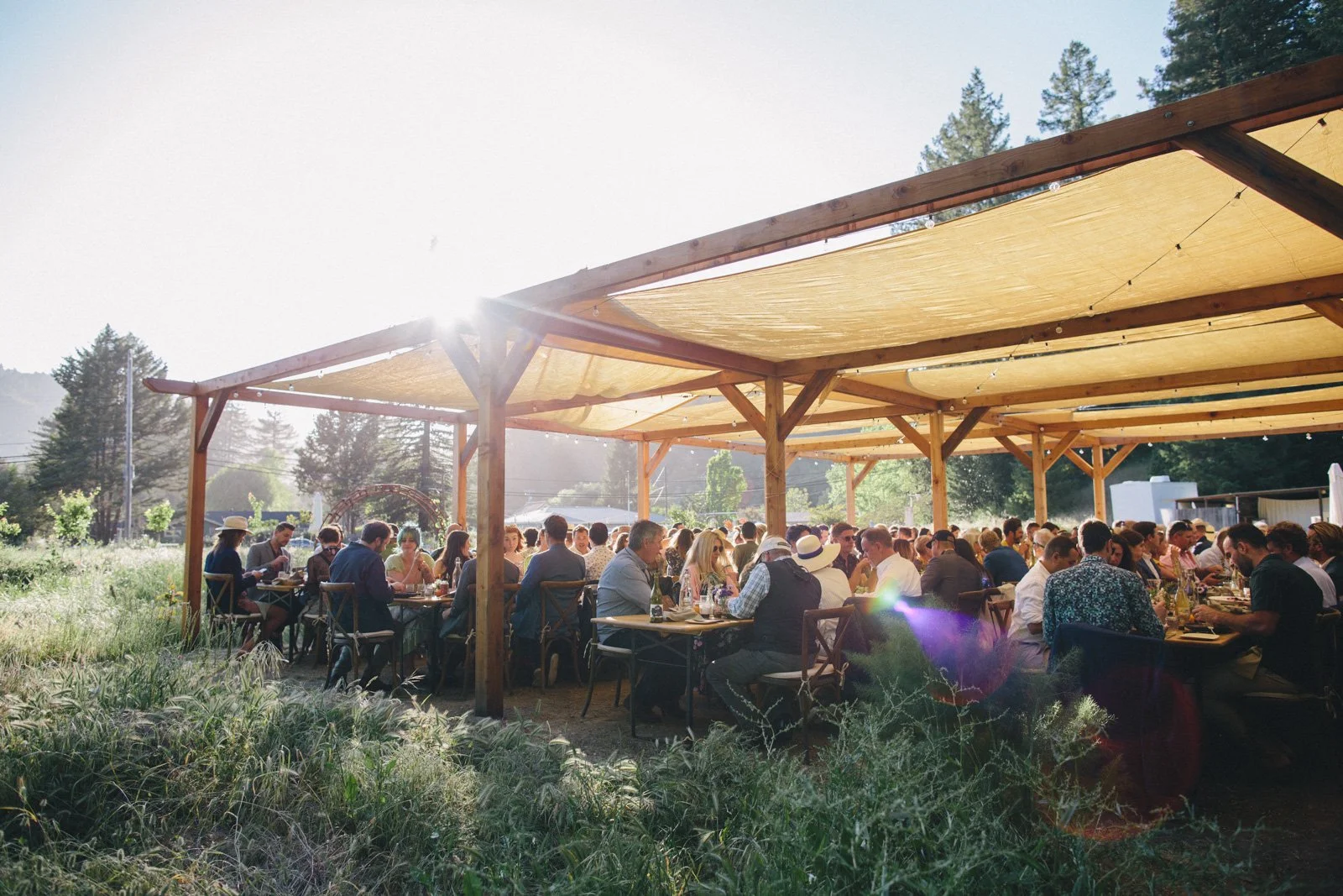 Family style wedding dinner at Solar Punk Farms