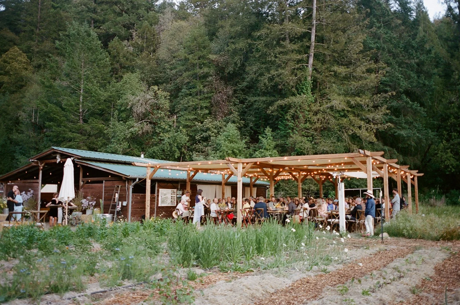 Golden hour dinner at Solar Punk Farms