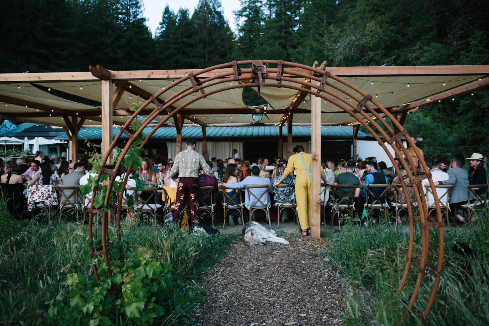 Wedding reception at Solar Punk Farms