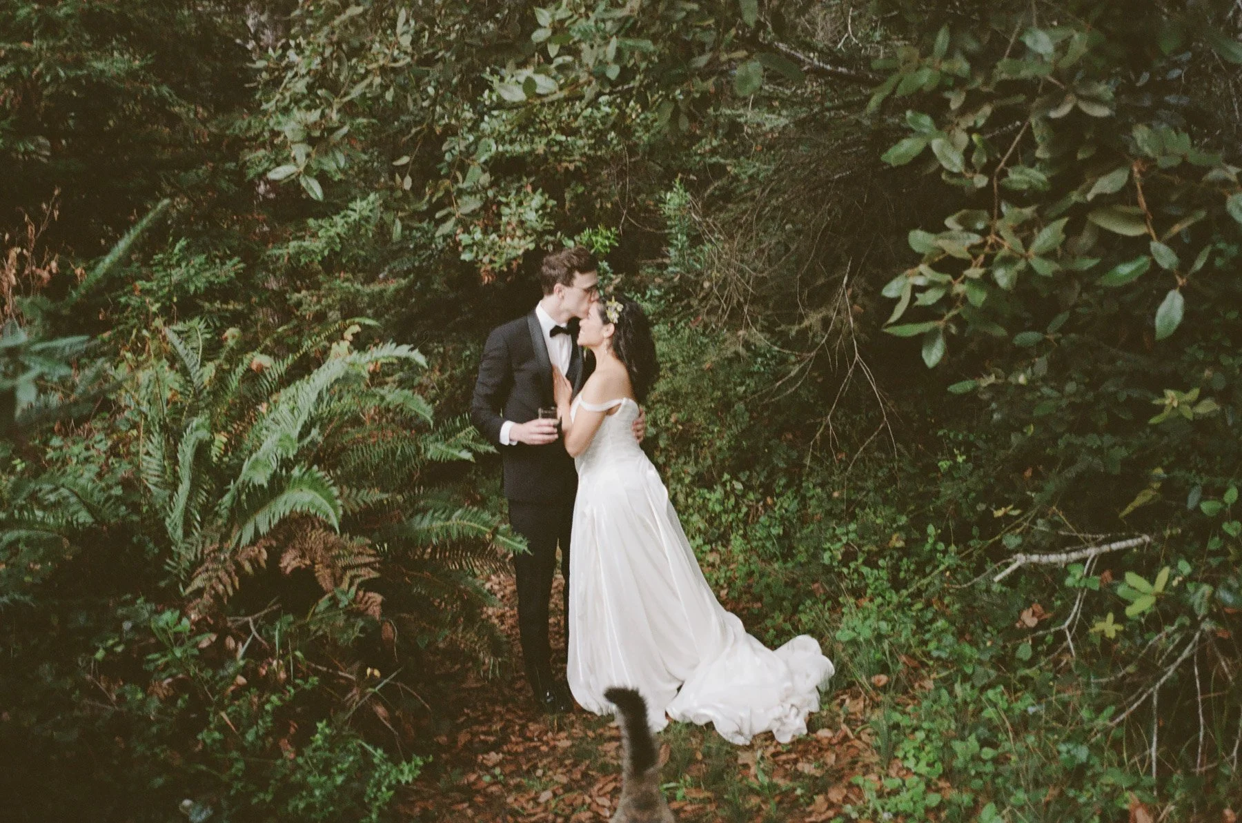 Driftwood-Lodge-Jenner-Wedding-58.jpg