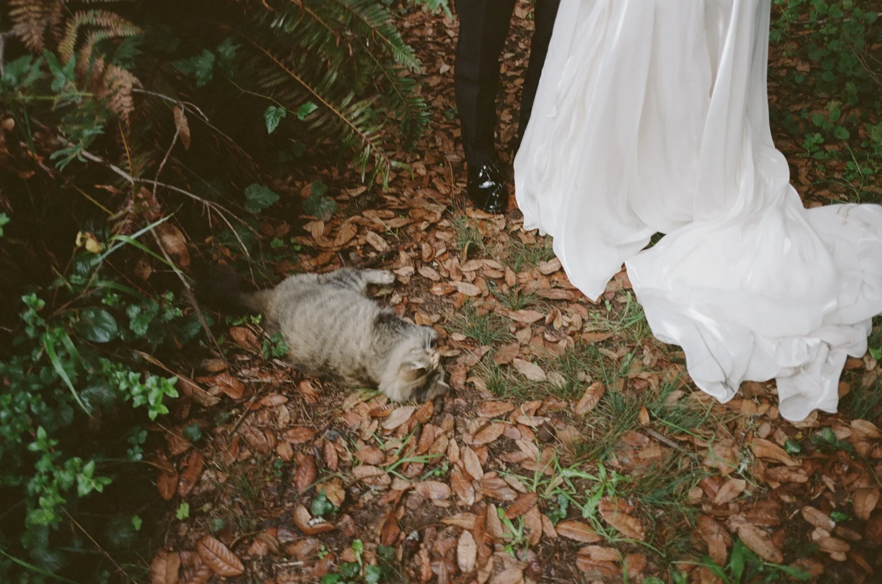 Driftwood-Lodge-Jenner-Wedding-62.jpg