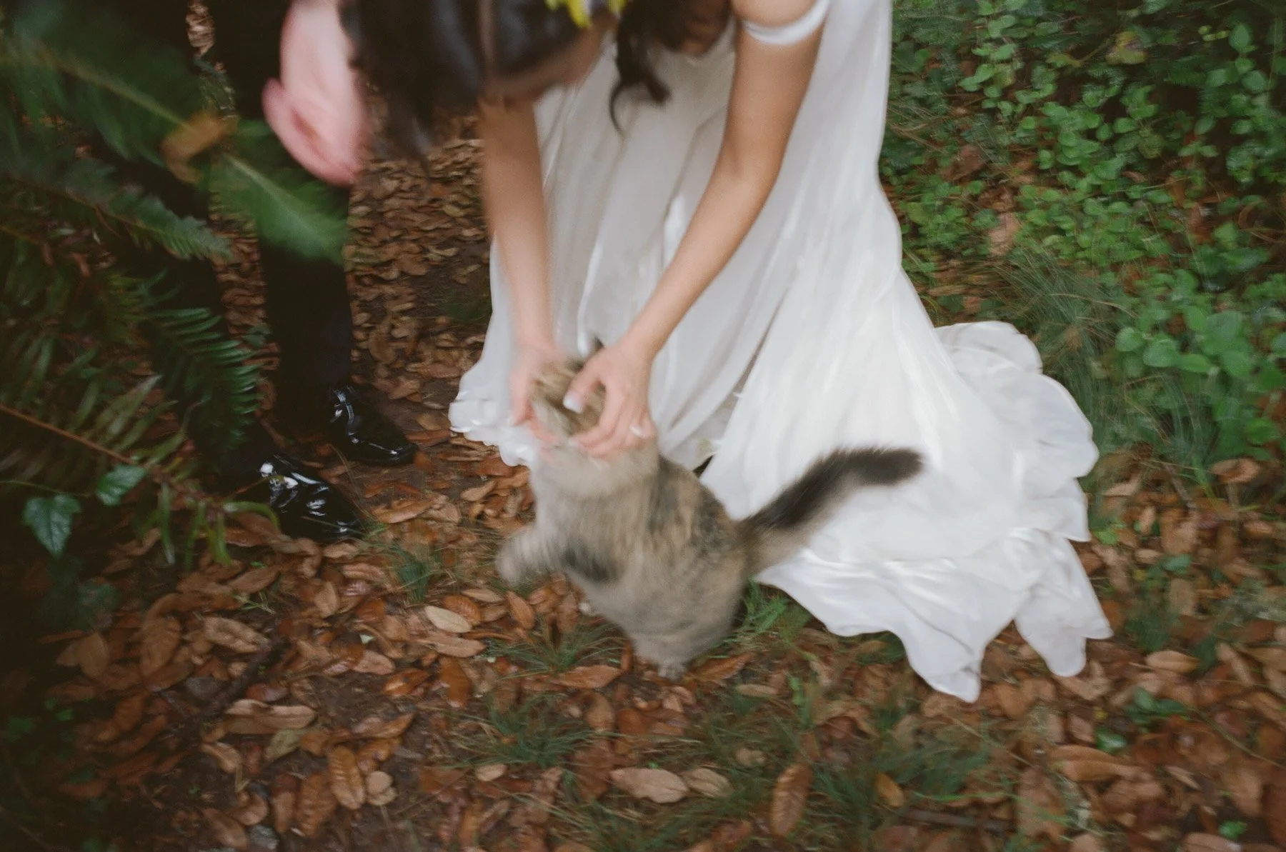 Driftwood-Lodge-Jenner-Wedding-63.jpg