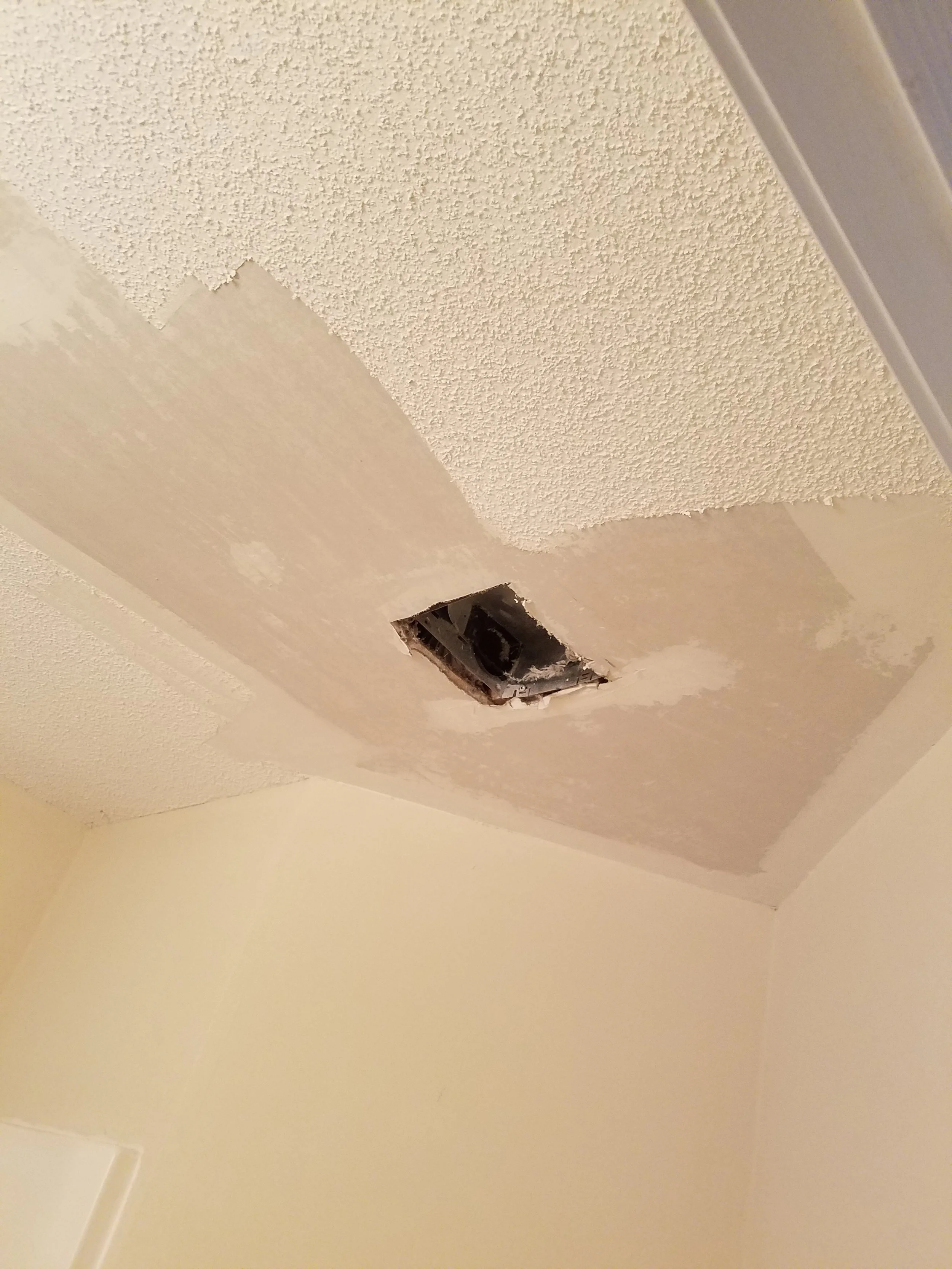 ceiling in progress.jpg