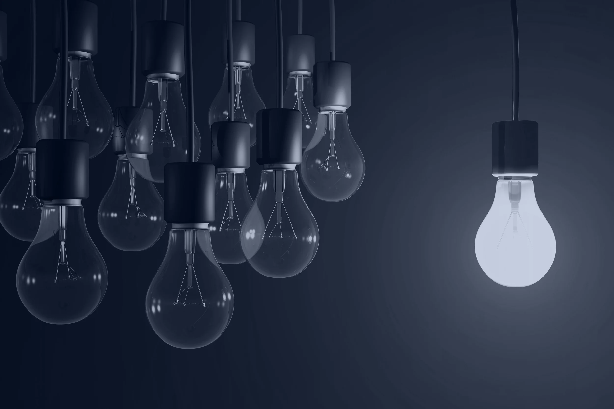 Bulb3.jpg