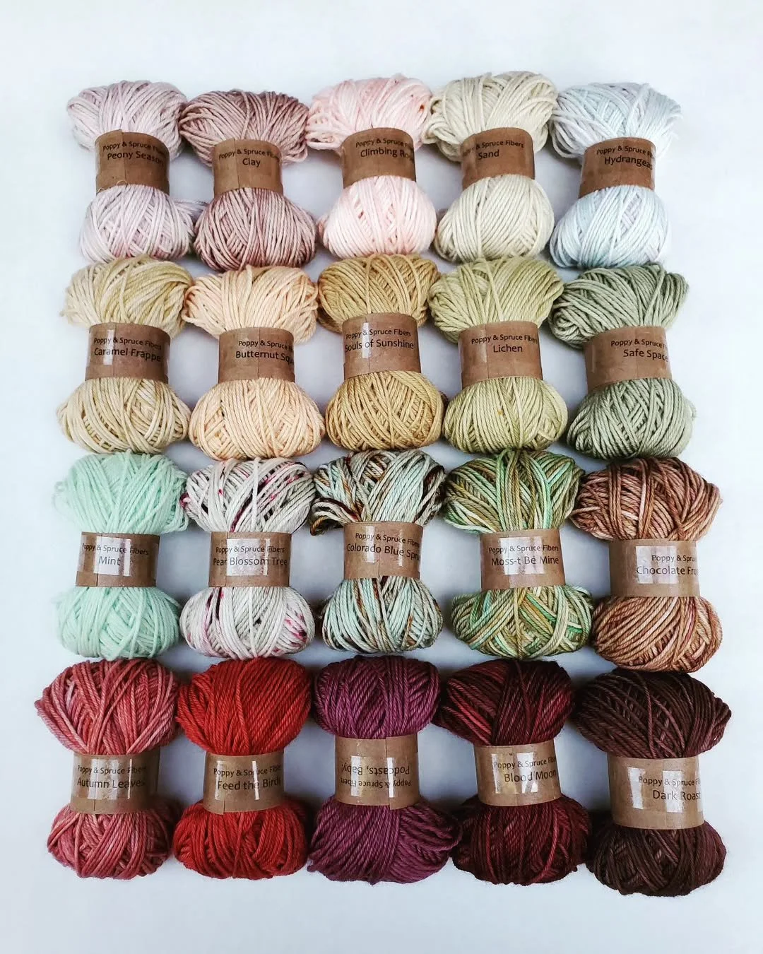 September 2024: Poppy + Spruce Fiber