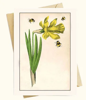 image of a vintage greeting card vintage note card with envelope depicting vintage daffodil botanical bee beehive note cards beehive shoppe