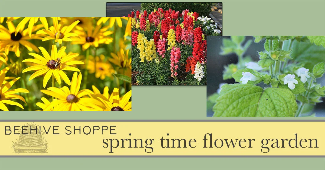 Spring is Springing!  The Top 5 Flowers To Attract &amp; Support Bees