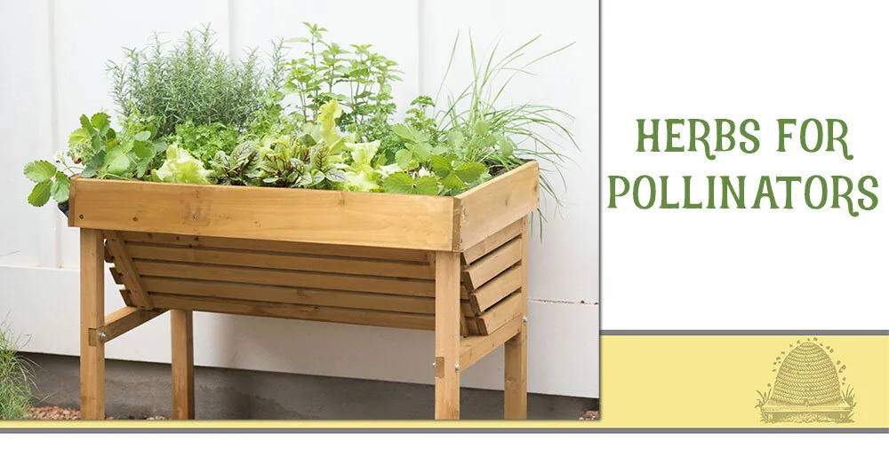 Plan your herb garden early... the pollinators will thank you for it  đ