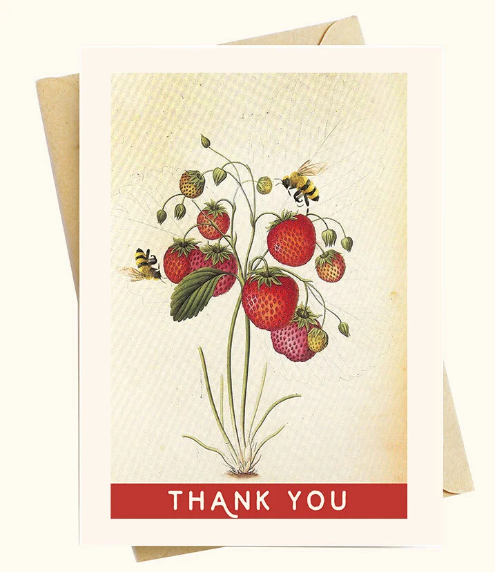 image of a vintage greeting card vintage note card with envelope depicting thank you strawberry bee note cards bee beehive greeting honeybee thank you