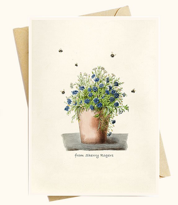 For the Sunshine Potted Plant Greeting Card