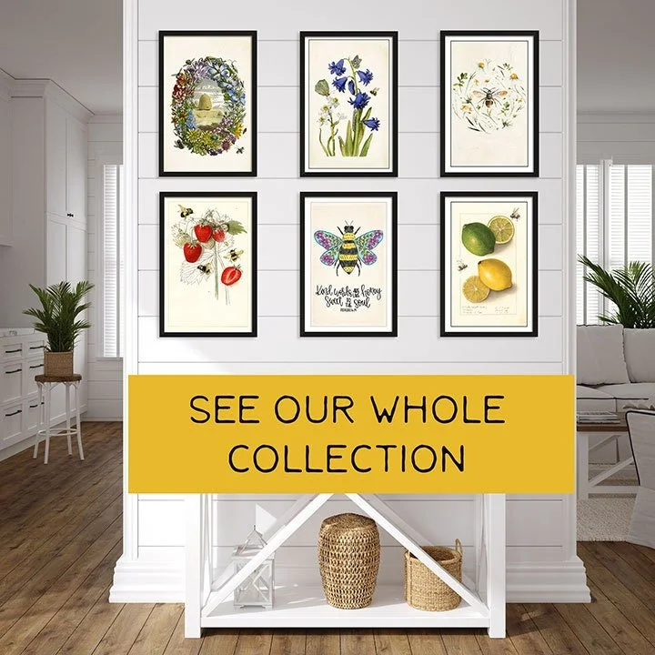 https://i.etsystatic.com/14757813/r/il/ef033c/3463106507/il_fullxfull.3463106507_l185.jpg