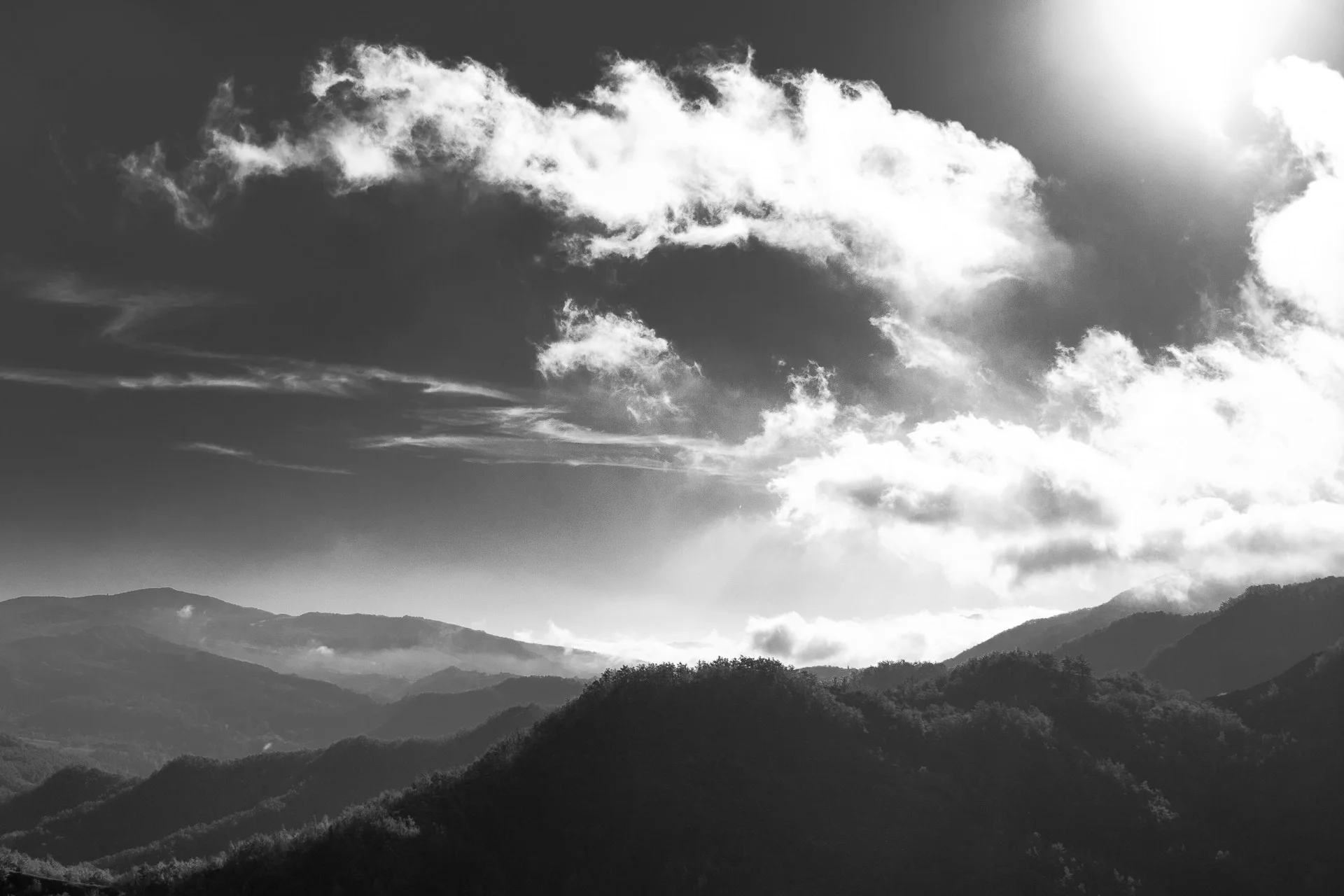 marco-sama-273-unsplash.jpg