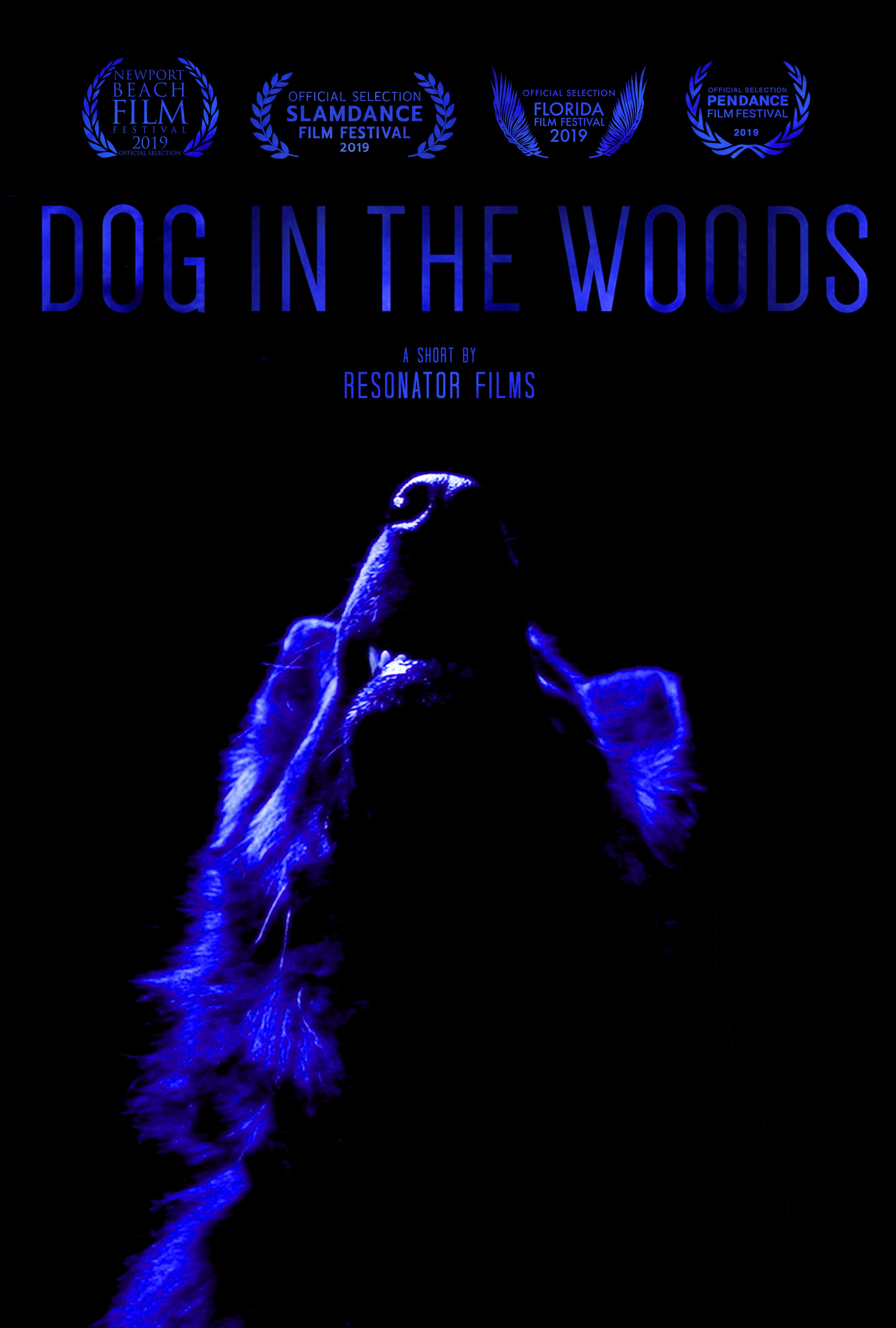 Dog in the Woods_Poster.jpeg