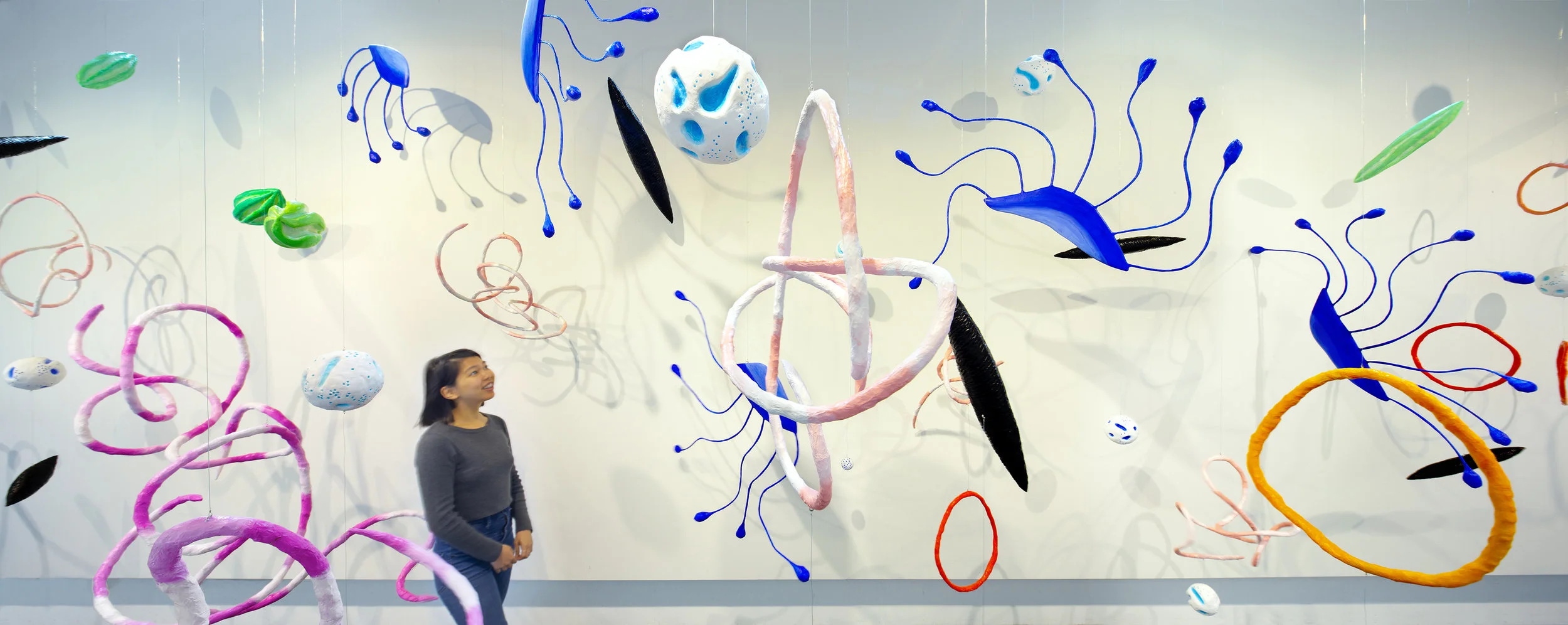 tangle-pano.jpg