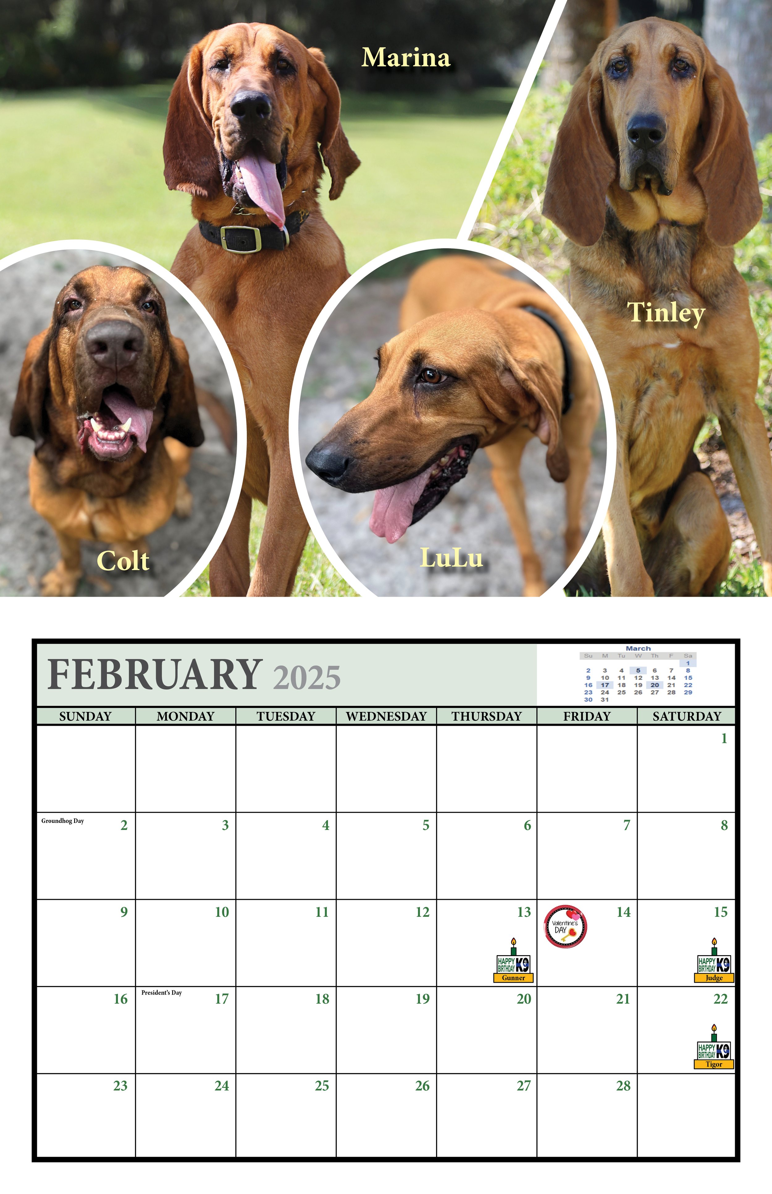 February.jpg