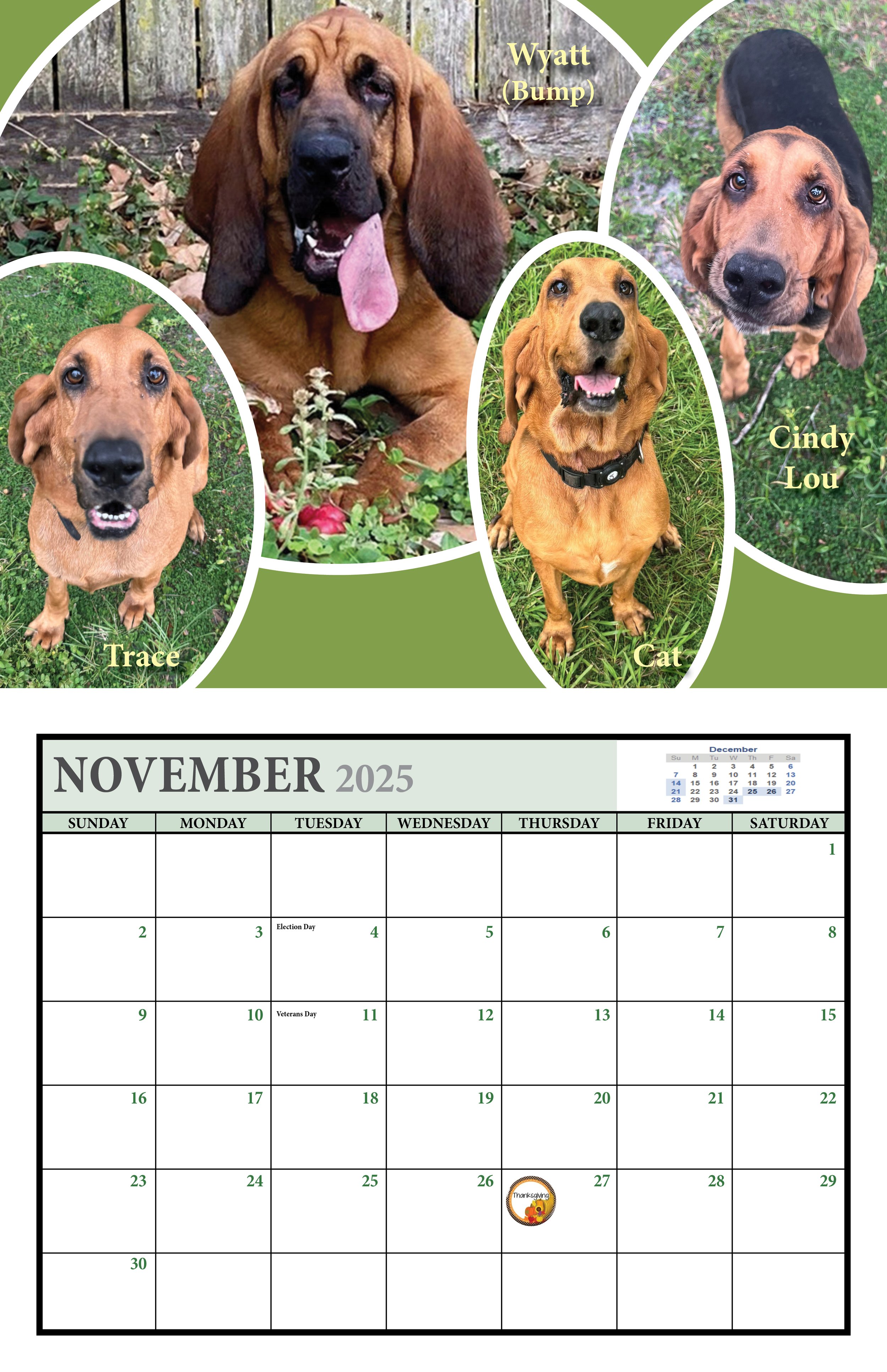 November.jpg