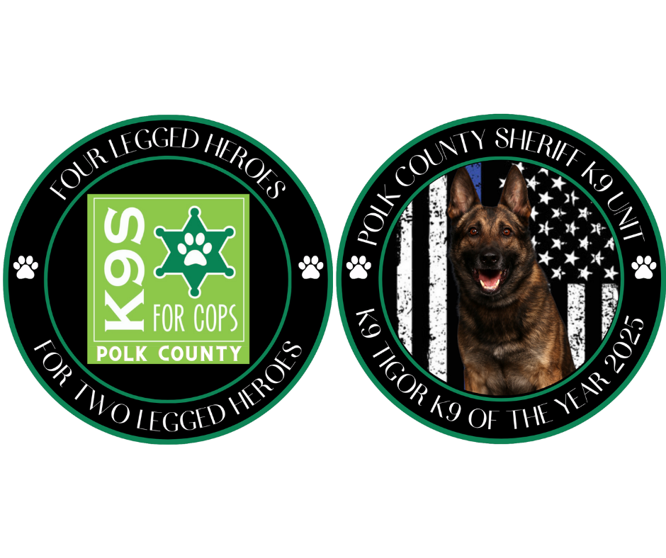challenge coin final 2025.png