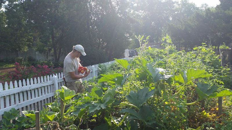 Harvest Dinner celebrates “Park-to-Table” fare at Tower Grove Park