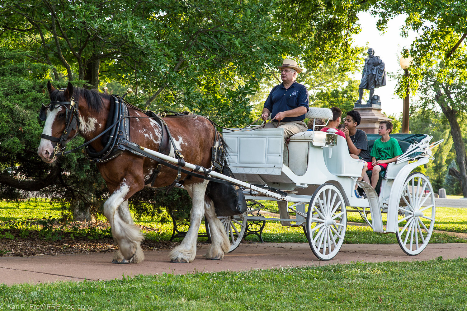 Carriage Rides — Tower Grove Park