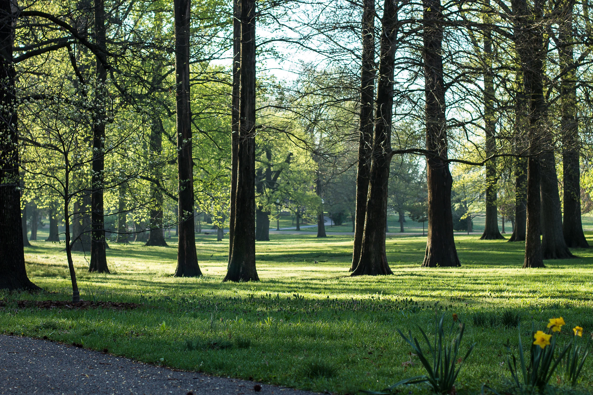 Park Hosts Missouri Community Forestry Council Annual Conference on March 15