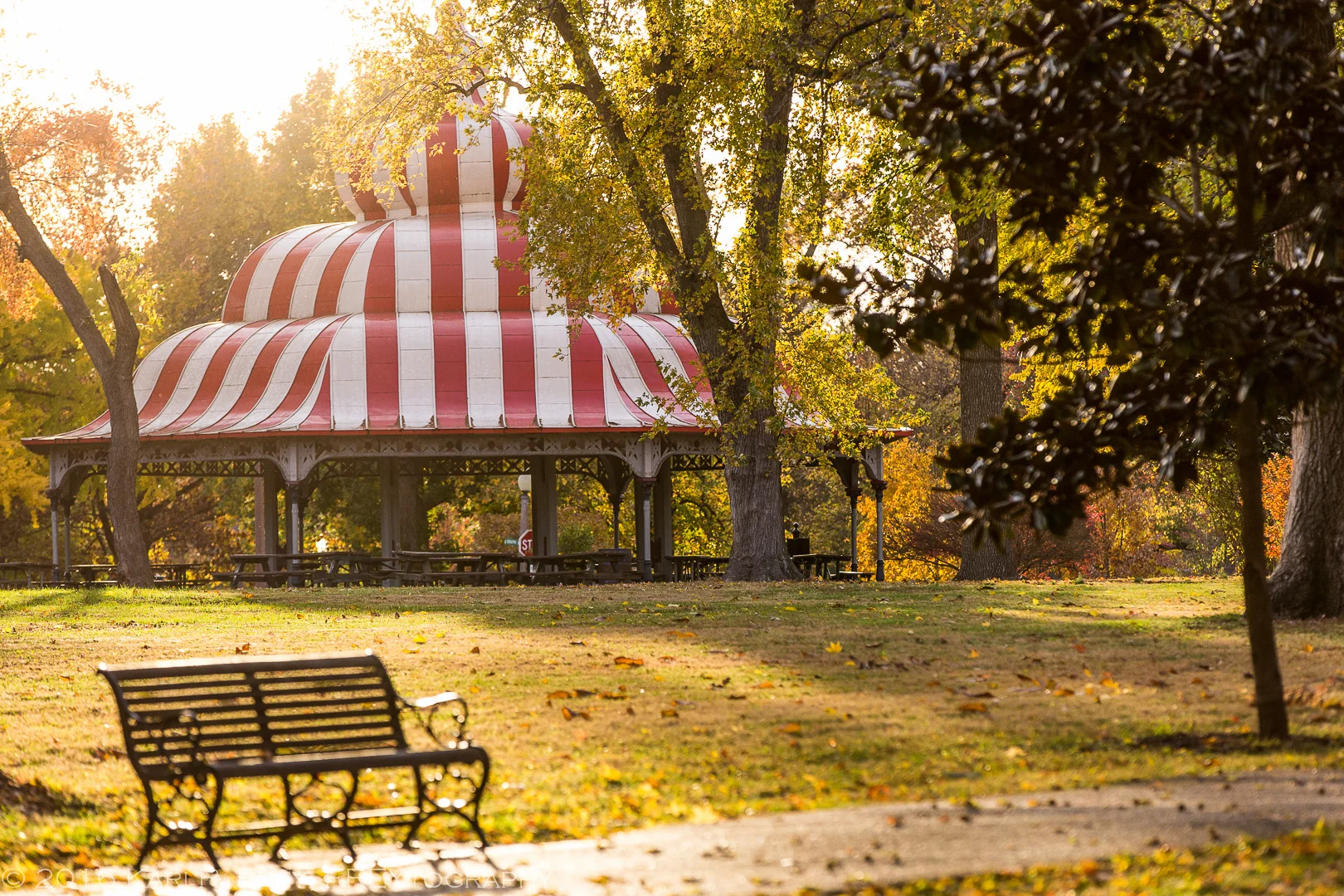 Venues and Rentals