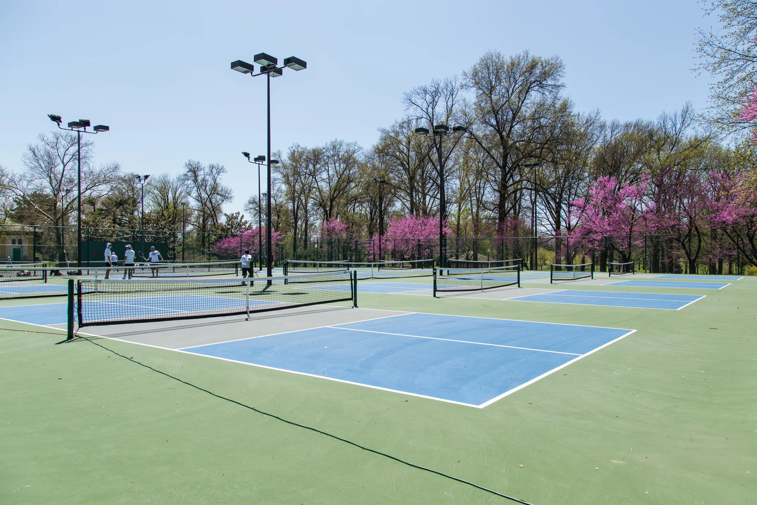 Pickle Ball-1.jpg
