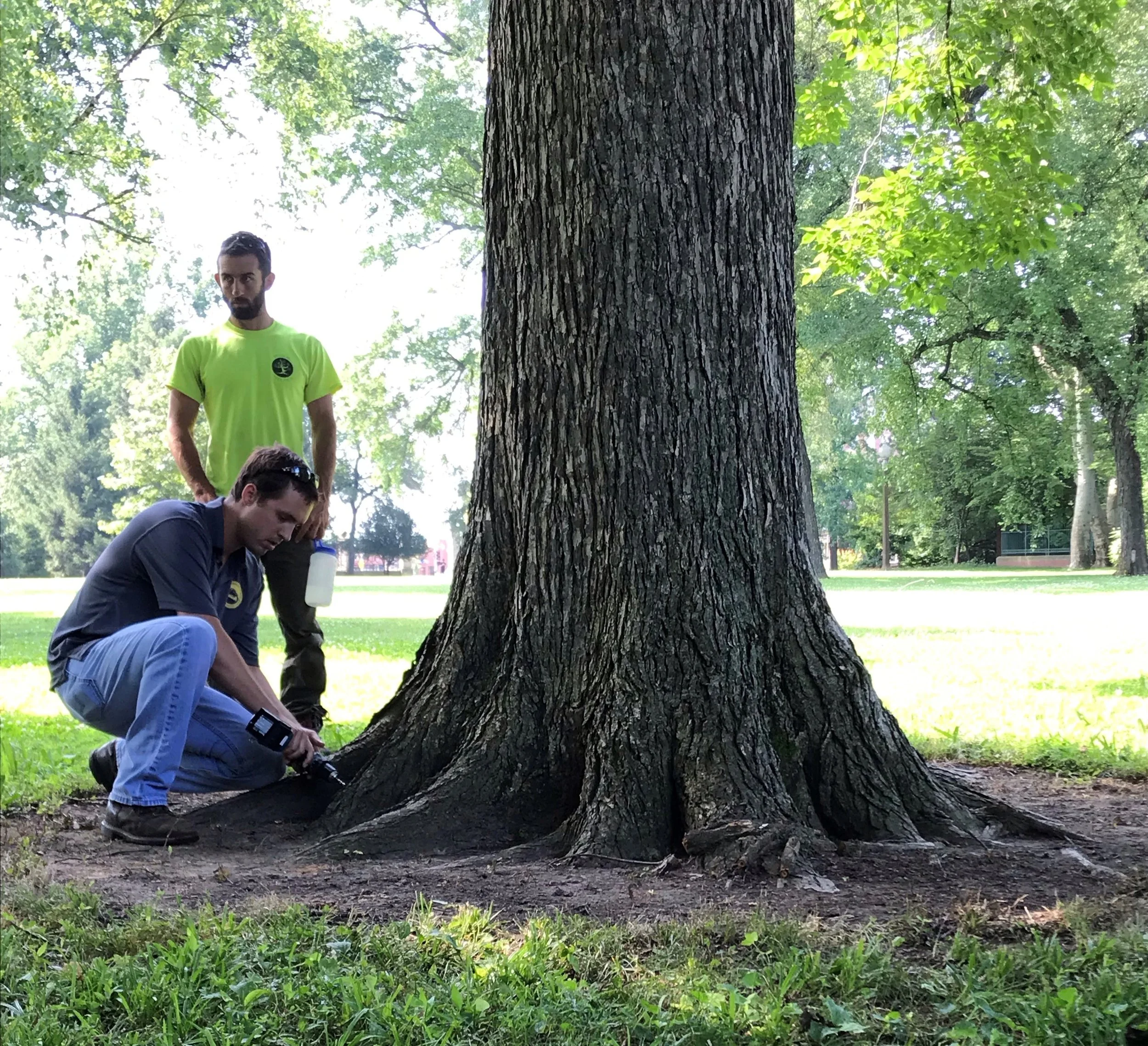 Forestry Team hosts Tree Injection Workshop
