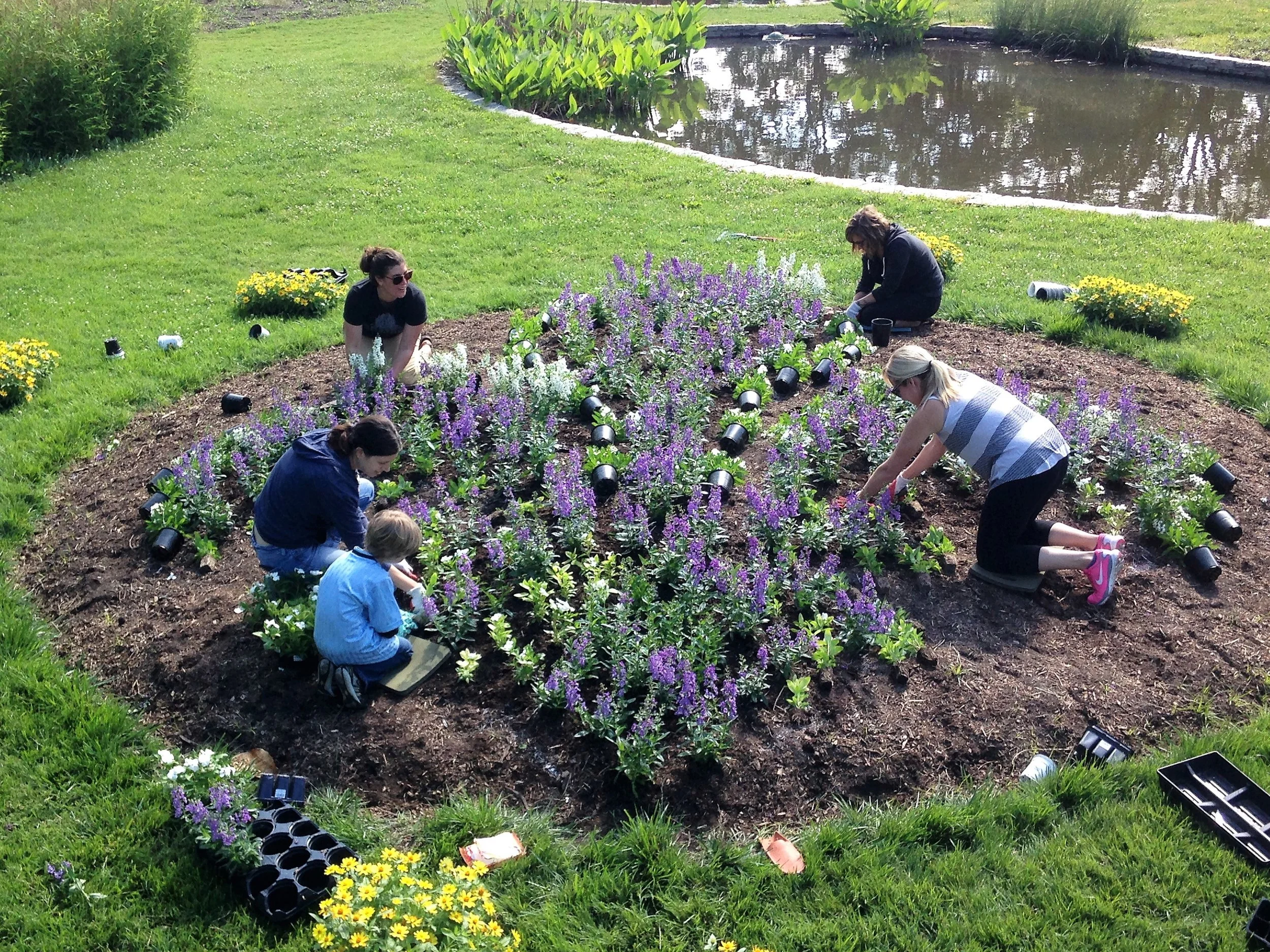 Summer Gardening Survival Guide