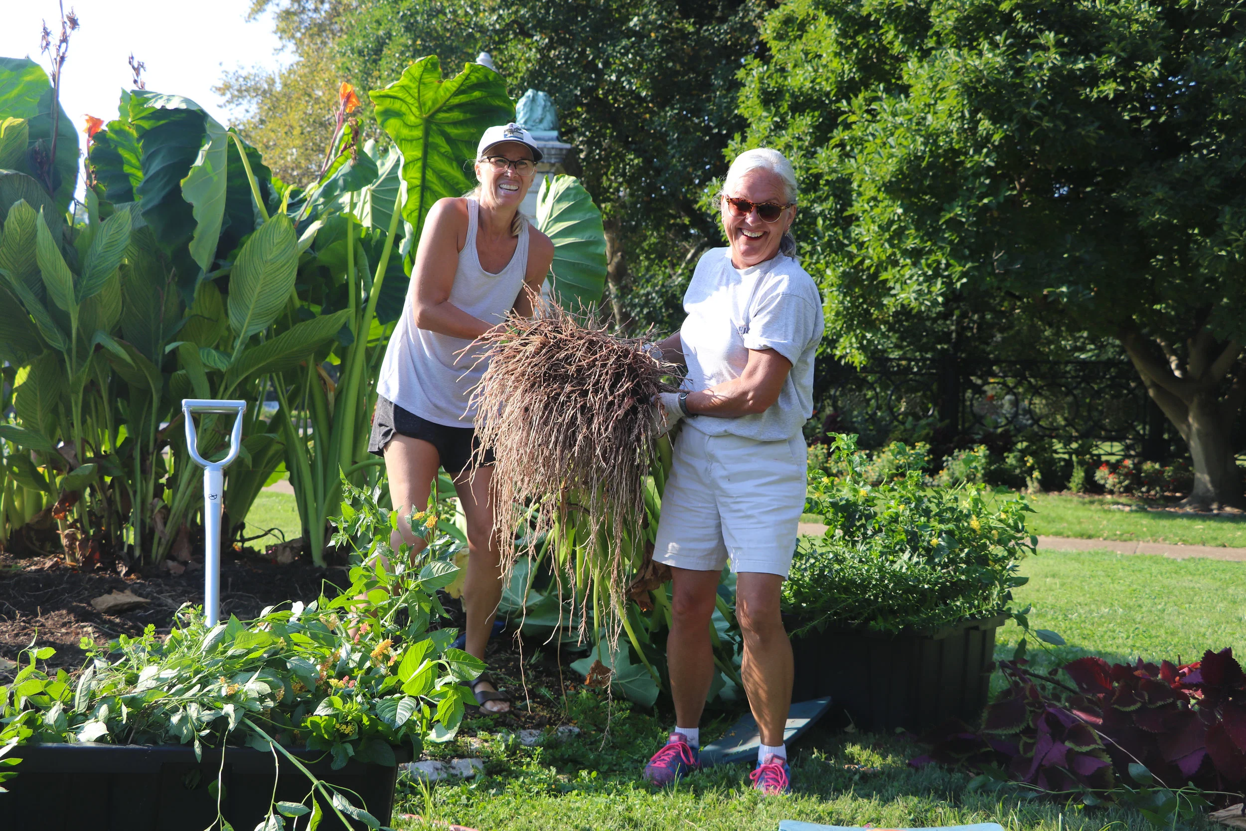 Plant it Forward at Tower Grove Park