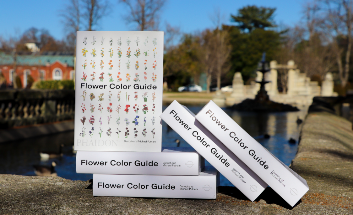 Flower Power Color Guide.png