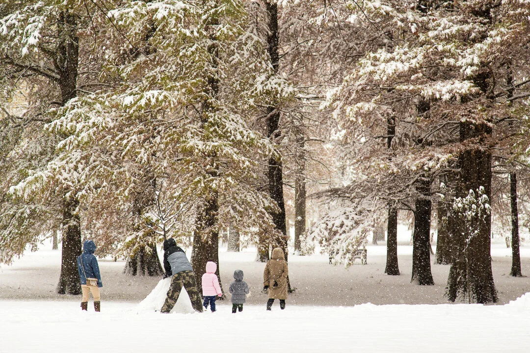 2019: A Year in Review at Tower Grove Park