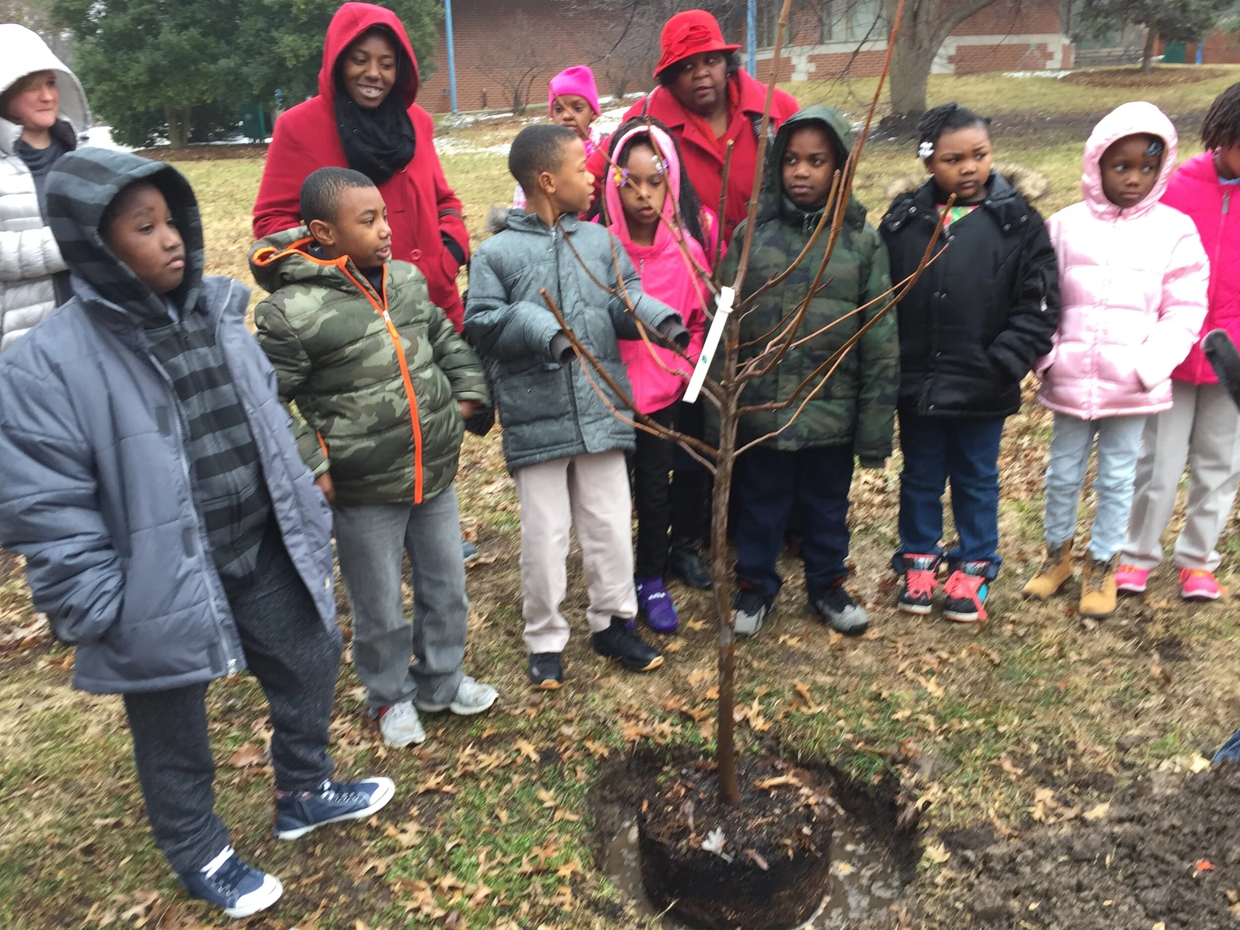 Grade-schoolers dedicate tree for Black History Month