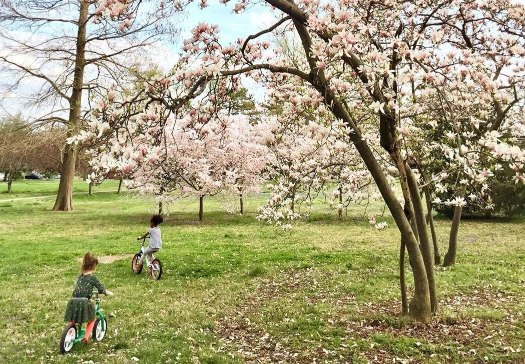 Celebrate Earth Month with Tower Grove Park