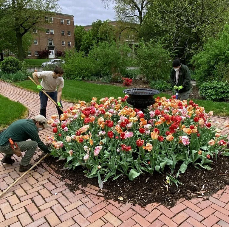Help us keep the park clean and beautiful