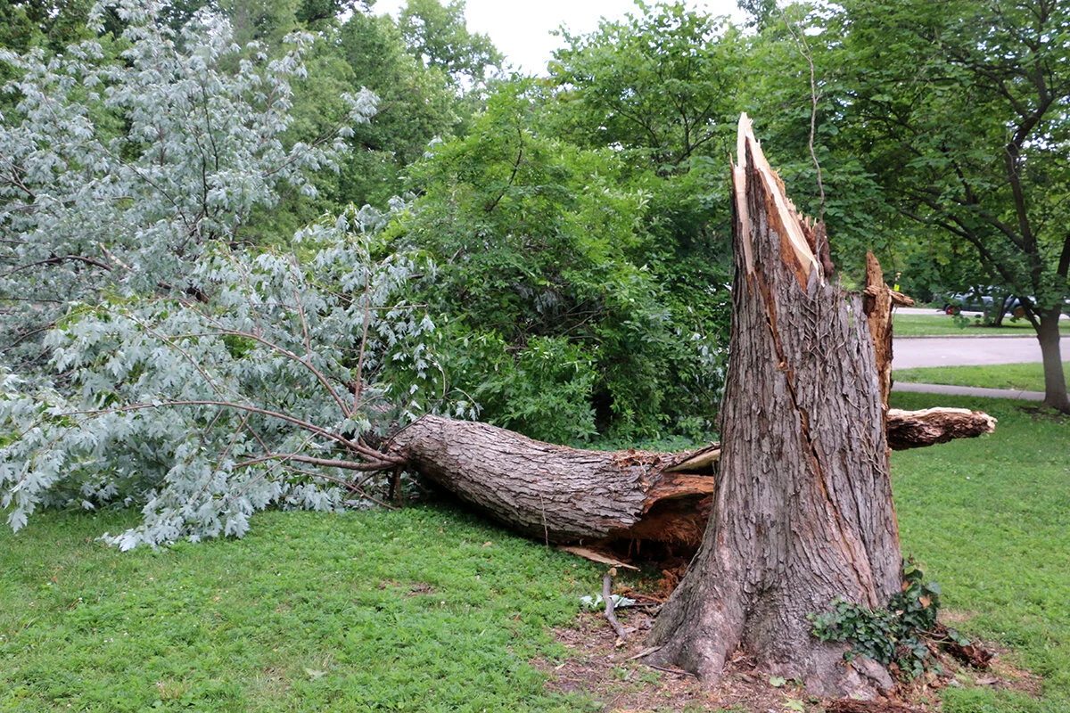 Park continues summer storm response
