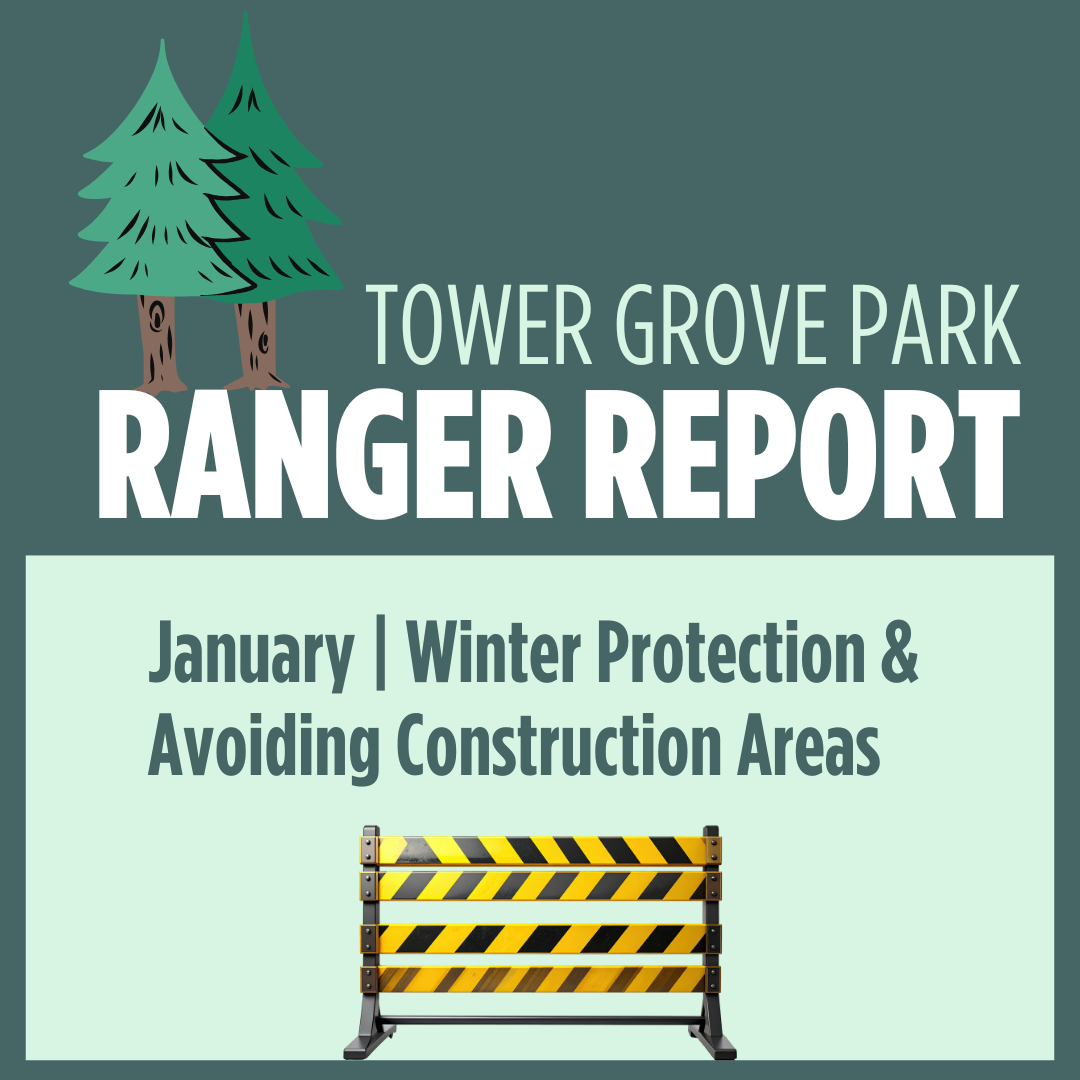 January 2026 Ranger Report: Winter Protection &amp; Avoiding Construction Areas