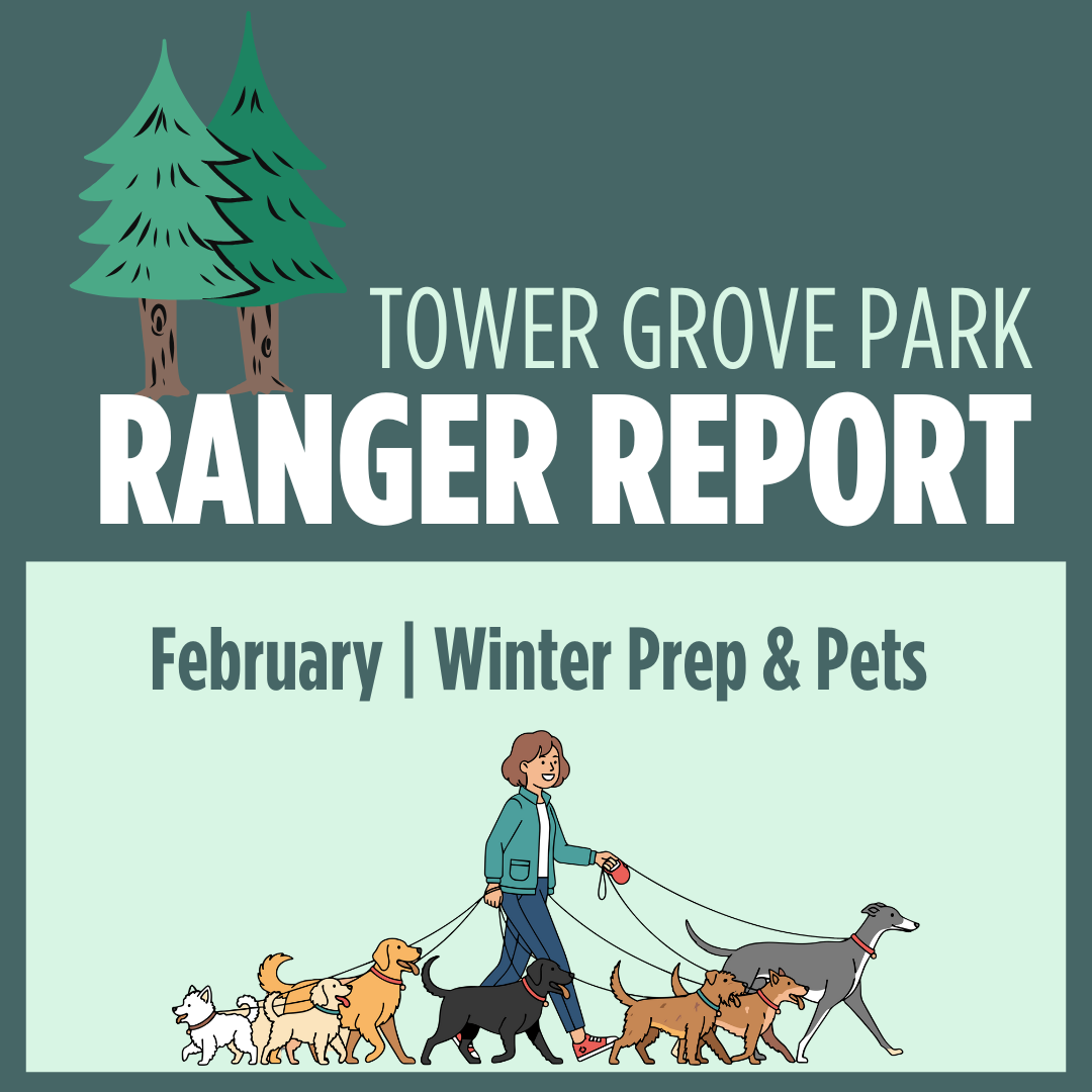 February 2026 Ranger Report: Winter Prep &amp; Pets 