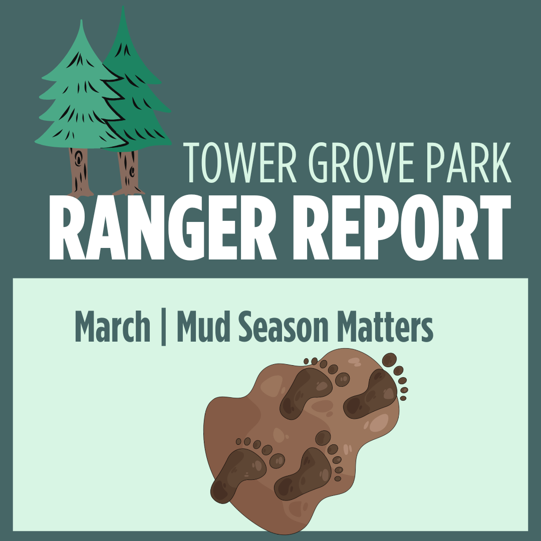 March 2026 Ranger Report: Mud Season Matters